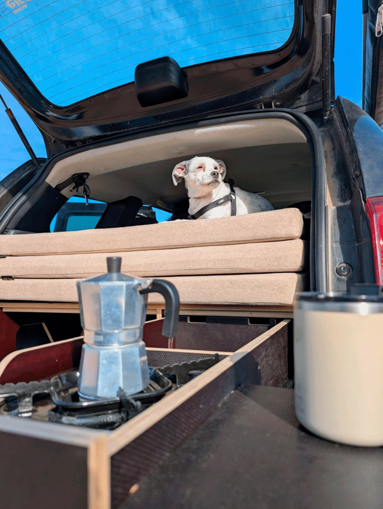 vin van box mueble modular camper sin homologar