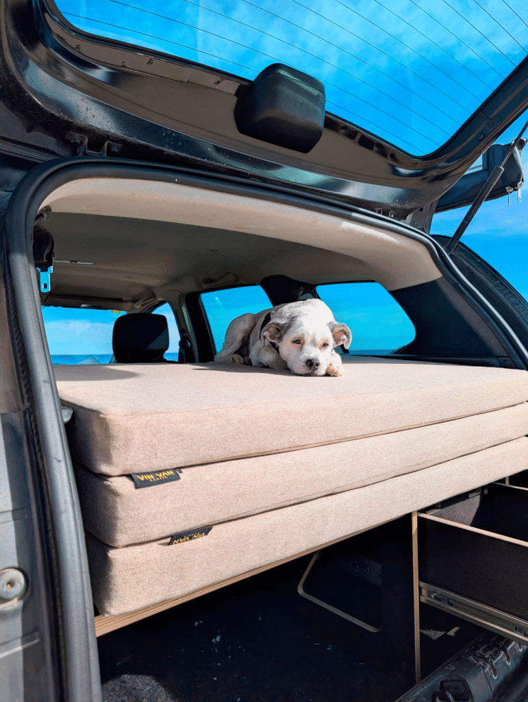 vin van box mueble modular camper sin homologar