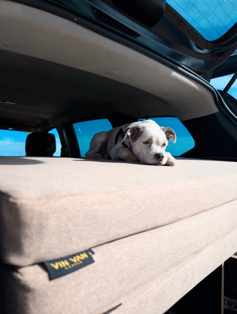 mueble camper dacia duster